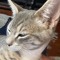 casper_m