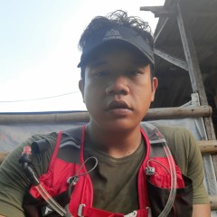 Budiman Delvin