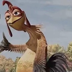 saygsh
