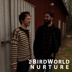 BirdWorld