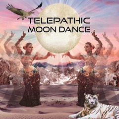 Bacon - Wrapped Universe (live Sample)