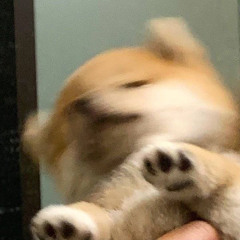 松松