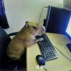 DJ Melv