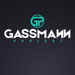 Gassmann Projekt