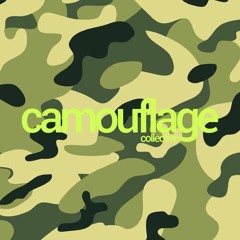 Camouflage Collective