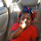 brazyray