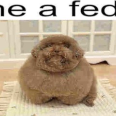 bsdmvtthvw