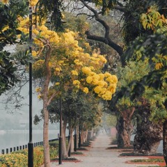 Martina Kyaw
