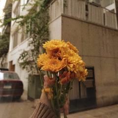 Asmaa elhelw