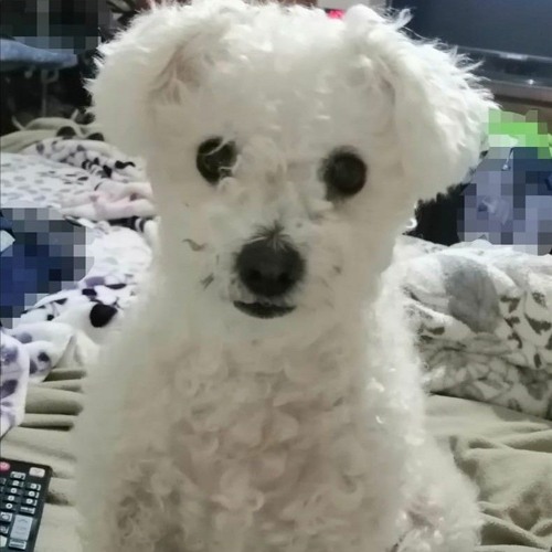 Mix Circuit 2021 Miley Cyrus Midnight Sky