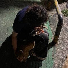 冬雨