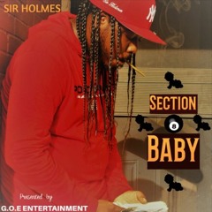 SECTION BABY