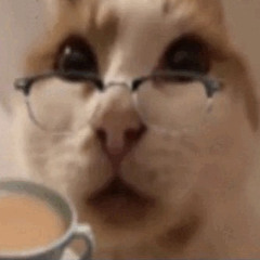ts