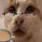 ts