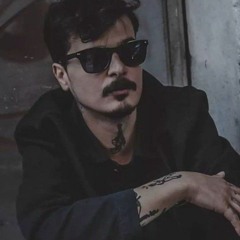 cirkin  ordek yavrusu