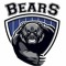 Berwick Bears