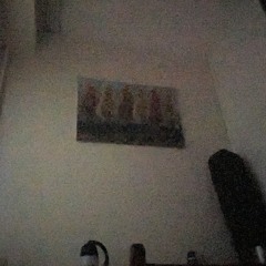araki_zabil