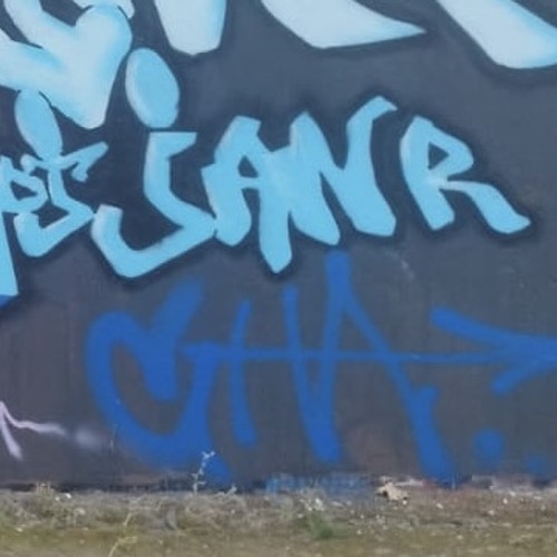 Get Down With The Crew