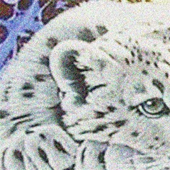 snowtigerz