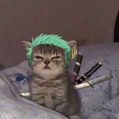 ⋆⁺₊⋆ ☾⋆⁺₊⋆