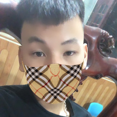 N Thanh Duong