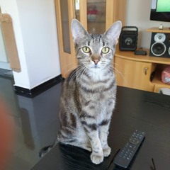 martin04