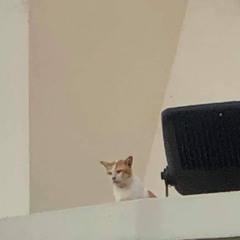 lllllll