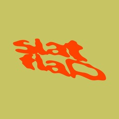 SlatFlap Radio