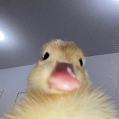 ꕥ