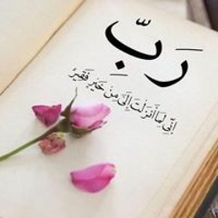 هايدي ابوالنور