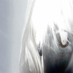 +Safferyn