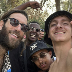 טל מוגס