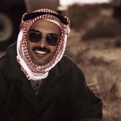 ABO MZ3L