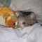 byebyeol