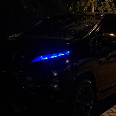 XnX