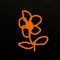 Edelveis