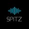 theDJSPITZ