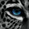 eilidh_h28