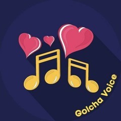 Golcha Voice 2