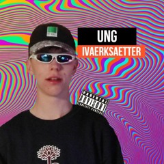 Ung Ivaerksaetter