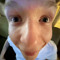 chupid
