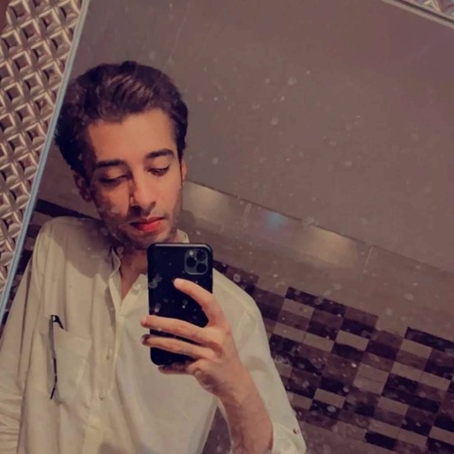 Malik Hamza Aziz Labar’s avatar