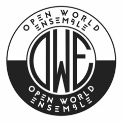 Open World Ensemble