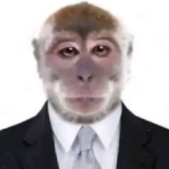 yasrustoya