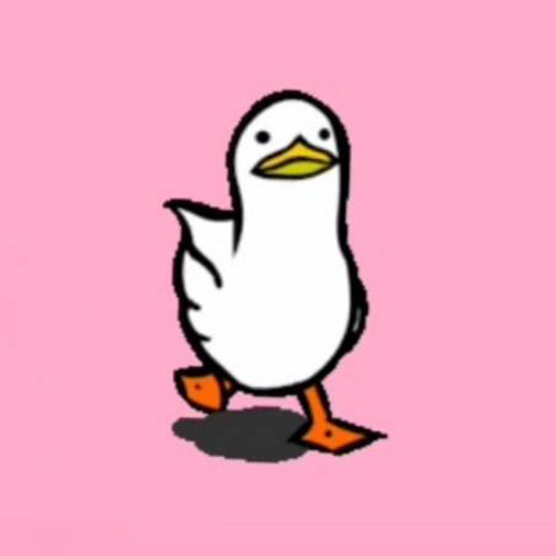 The Duck’s avatar