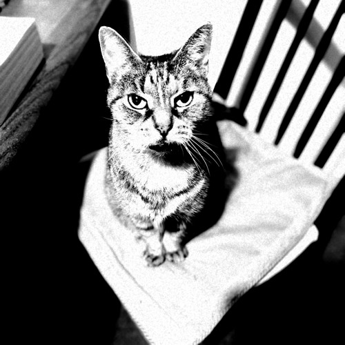 Total control (how to get it)