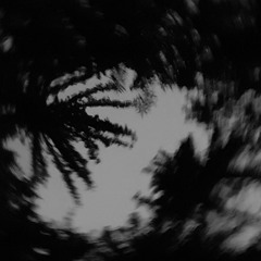 Ldpbn