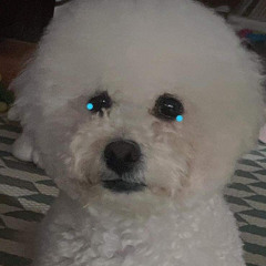 백승현