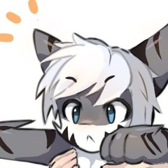 boy cat