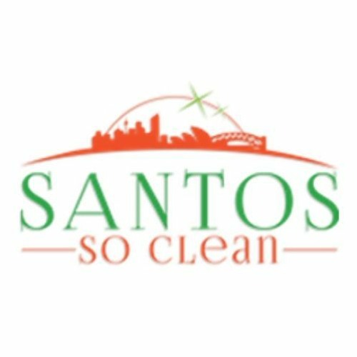 Santos So Clean’s avatar